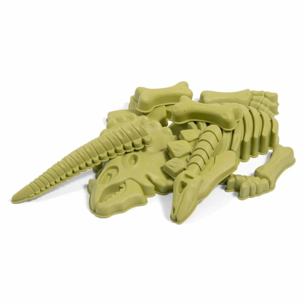 Dinosaur Bones Beach Set Developmental