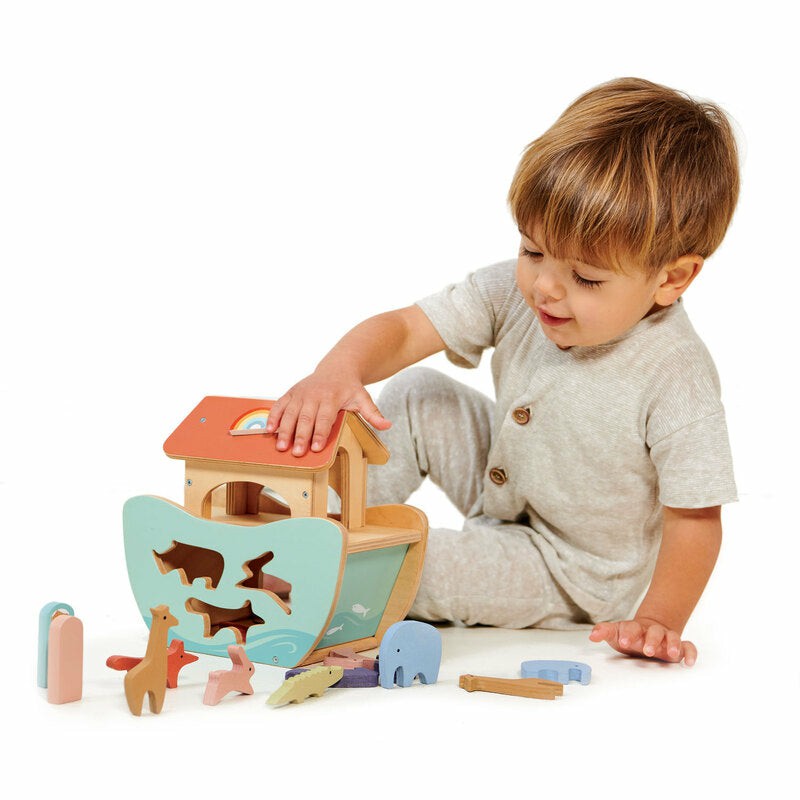 Little Noah’s Shape Sorting Ark Developmental