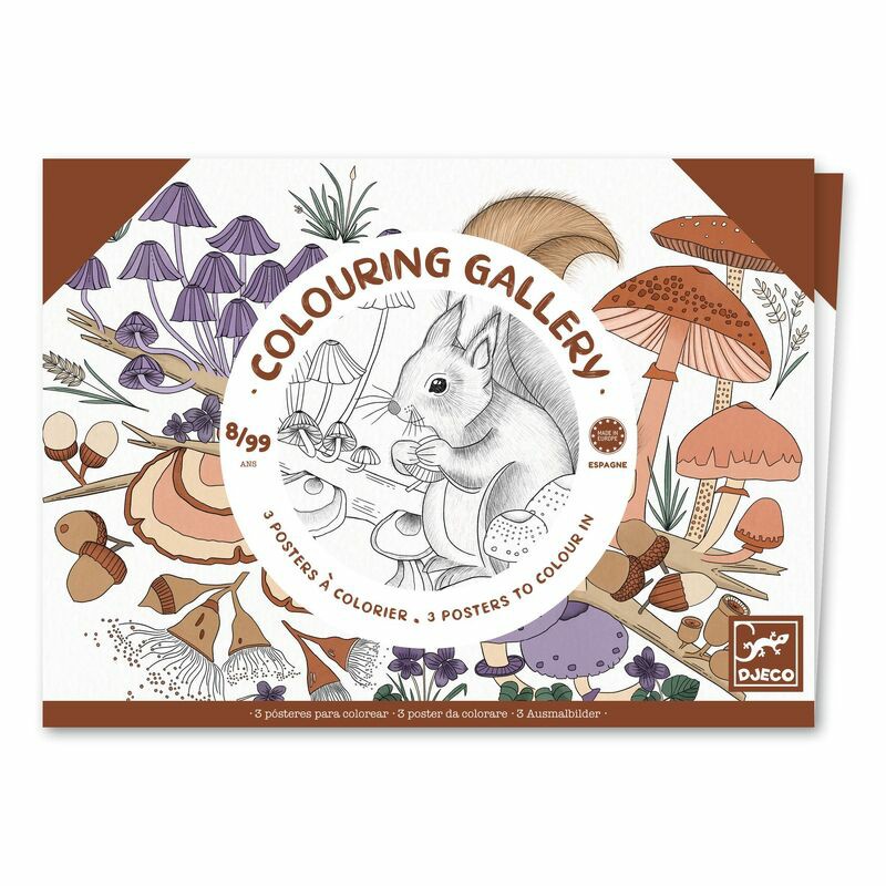 Naturalist Colouring Gallery Art & Craft Kits