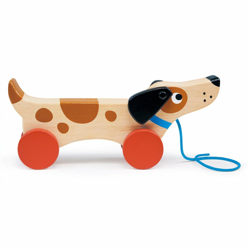 Puppy On Wheels Pull Along Developmental