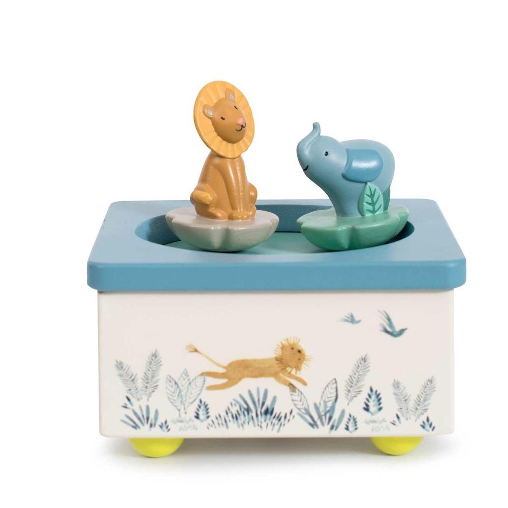 Sous Mon Baobab Music Box Developmental