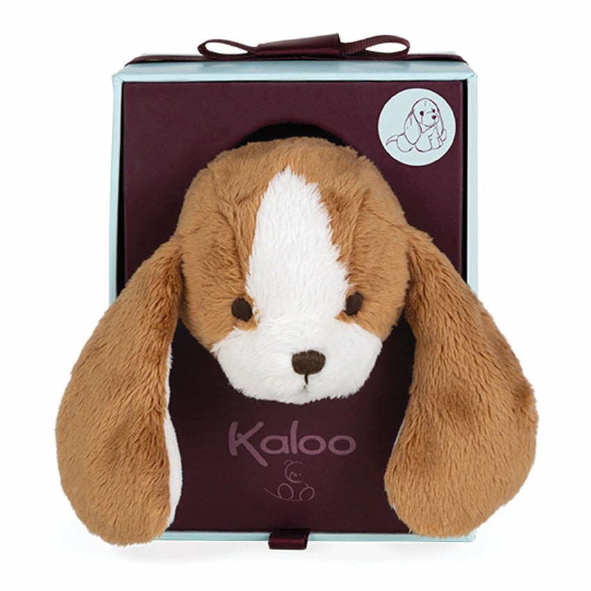 Tiramisu Puppy 19Cm (Gift Boxed) Baby & Toddler