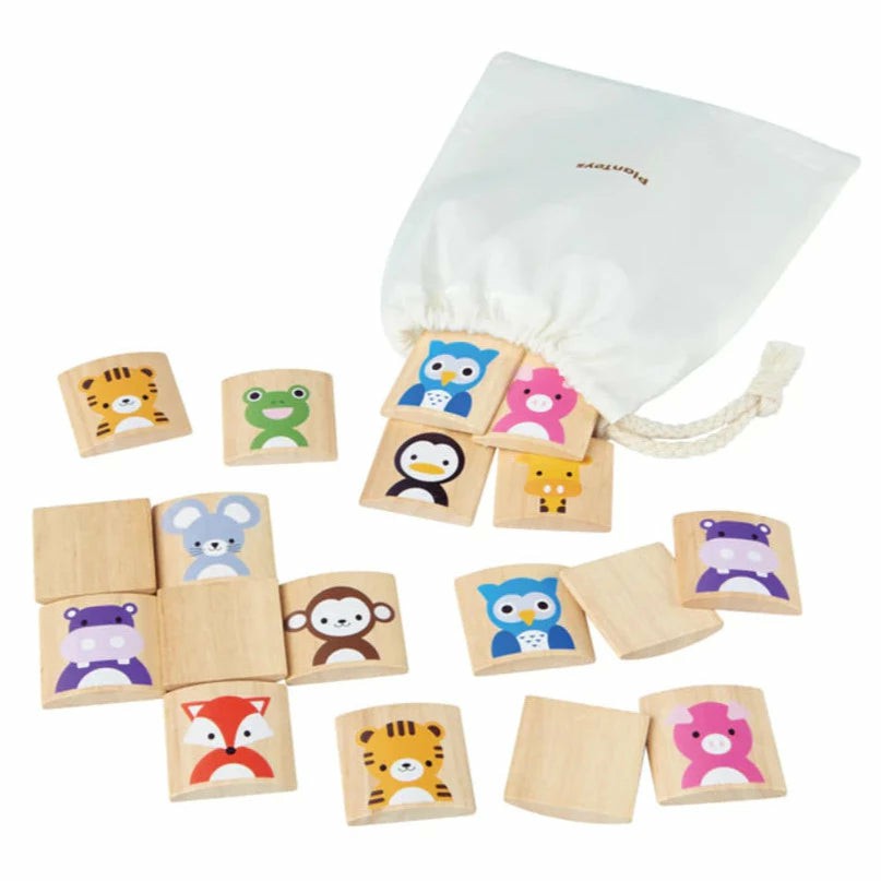 Animals Memo Matching Game Games