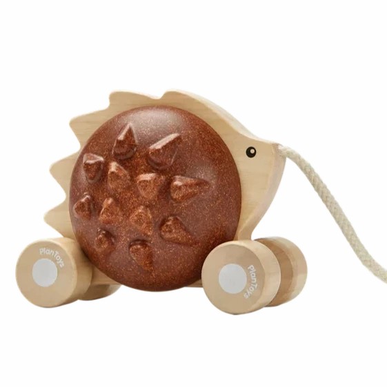 Pull Along Hedgehog Plantoy Wooden Toys